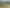 1877 River Road, Flagstaff