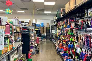 Prime Location Corner Retail Opportunity Huapai