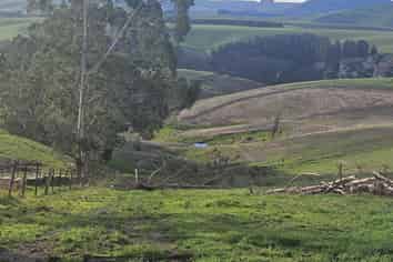  Dunrobin Road, Fuchsia Creek
