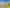 Waikato - Address withheld