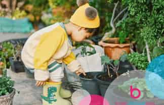 Fully Managed ECE Centre with Freehold - Prime Manawatu Investment