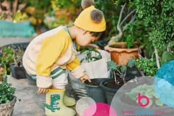 Fully Managed ECE Centre with Freehold - Prime Manawatu Investment