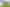 Hawkes Bay - Address withheld