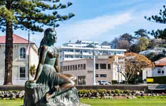 61/3 Shakespeare Road, Napier South