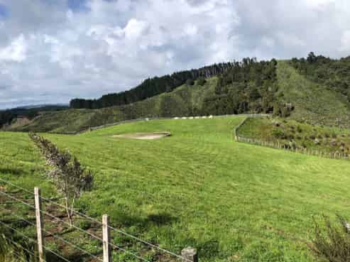 177 Moir Hill Road, Warkworth