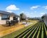 3 Princes Street, Springfield, Selwyn, Canterbury