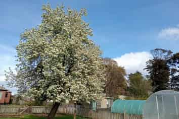 9 Birch Street, Tuatapere