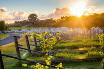 High End Glamping Business - Earn Back your Purchase Price in the next 6 Months