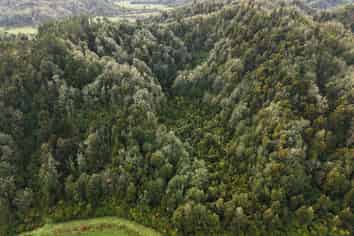 LOT 1 Granite Creek Road, Karamea