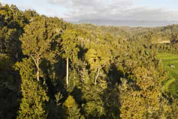LOT 1 Granite Creek Road, Karamea