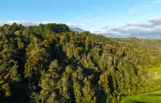 LOT 1 Granite Creek Road, Karamea