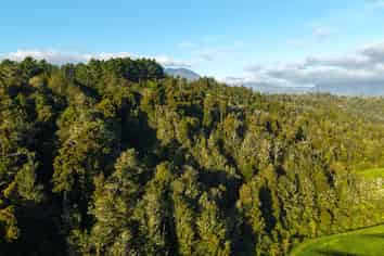 LOT 1 Granite Creek Road, Karamea
