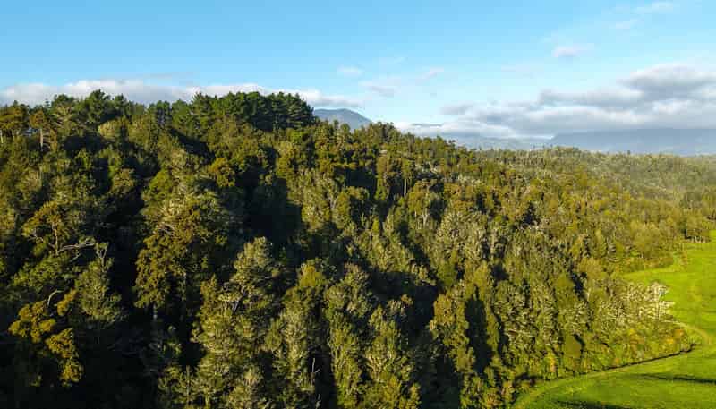 LOT 1 Granite Creek Road, Karamea