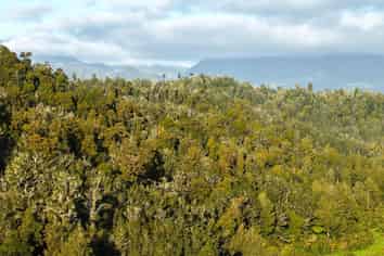 LOT 1 Granite Creek Road, Karamea