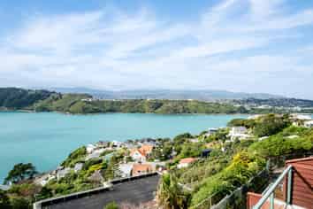 11/9 Arawa Road, Hataitai