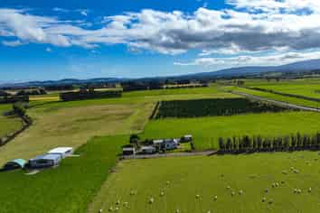 495- Thornbury Waimatuku Road, Thornbury