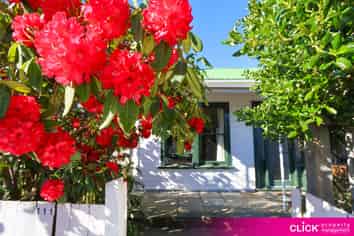 111 Macandrew Road, South Dunedin