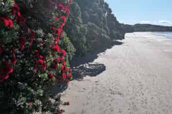 17 Midgard Road, Coopers Beach