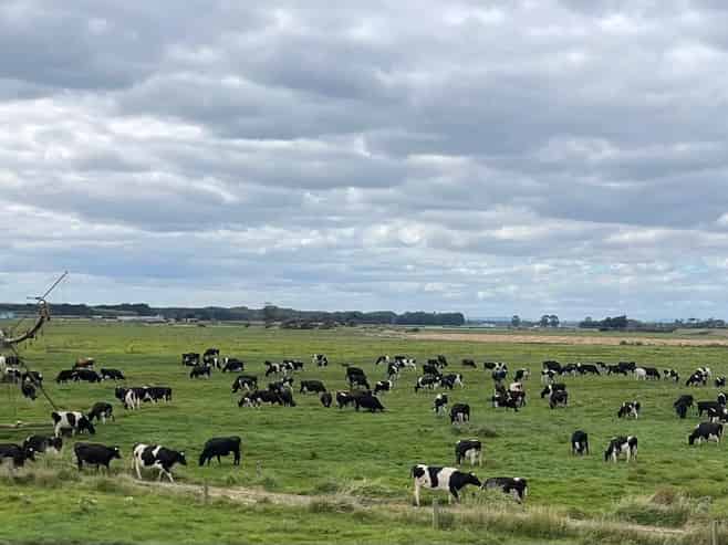 1637 Parewanui Road, Parewanui