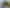 32 Willow Place, Aramoho