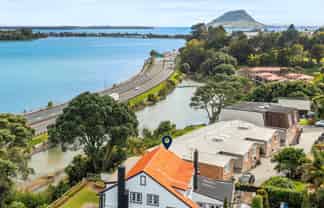 15 Williams Street, Tauranga
