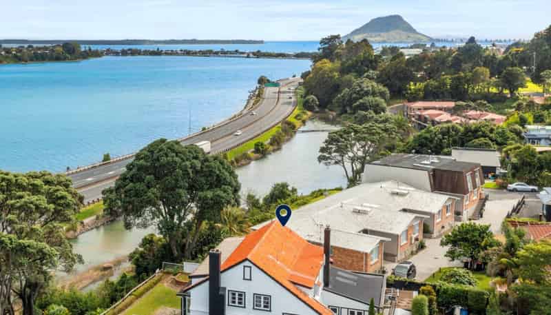 15 Williams Street, Tauranga