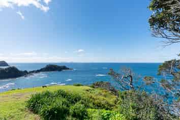49 Dolphin Place, Tutukaka