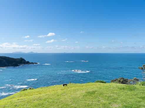 49 Dolphin Place, Tutukaka