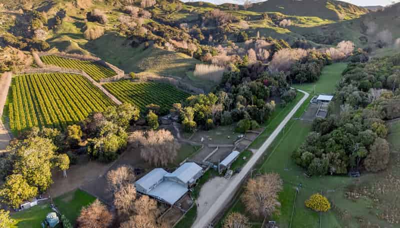 605 Taurau Valley Road, Muriwai