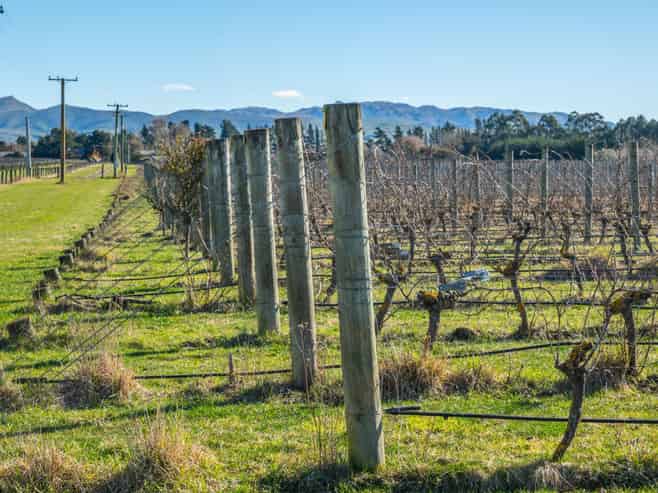 148 Omihi Road, Waipara