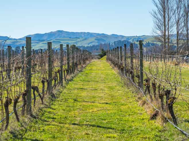 148 Omihi Road, Waipara