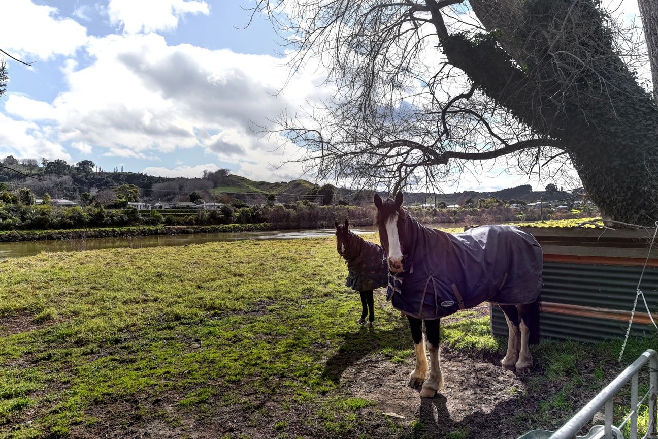 Subdivision potential with river views – pohled 6
