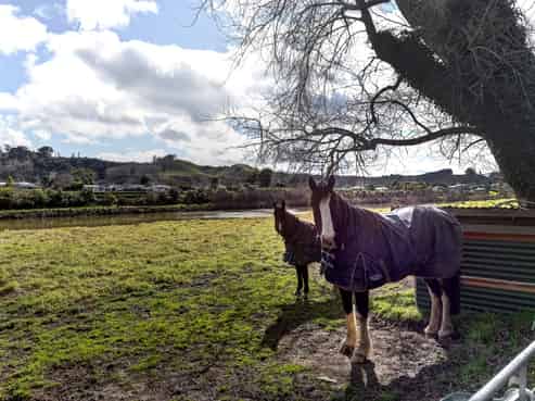 39 Riverbank Road, Okoia