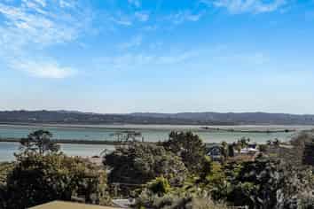 20A Hadfield Avenue, Waterview