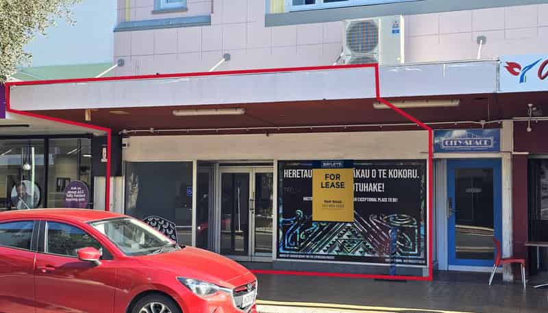 113 Heretaunga Street East, Hastings