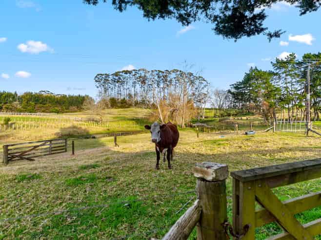 86B Wymer Road, Glenbrook