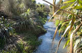 351 Scotsman Valley Road, Tauwhare