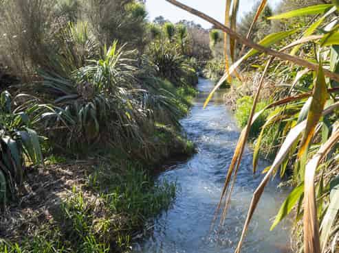 351 Scotsman Valley Road, Tauwhare