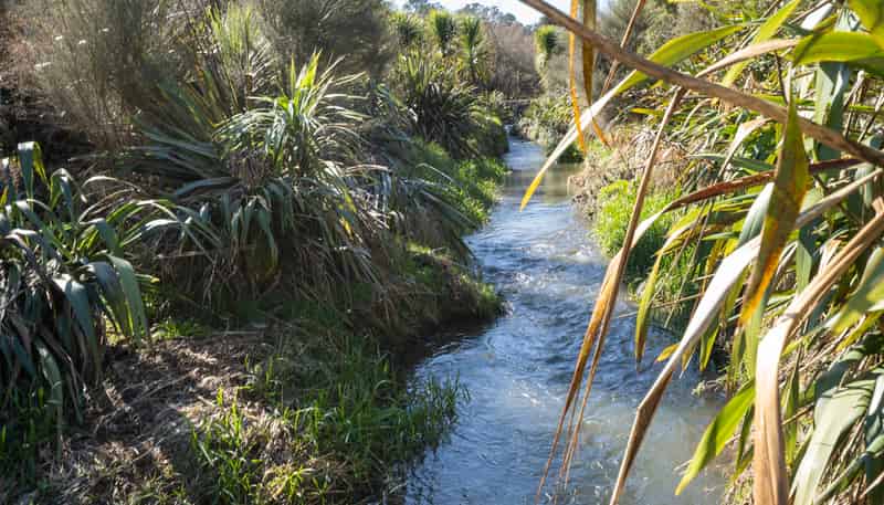 351 Scotsman Valley Road, Tauwhare