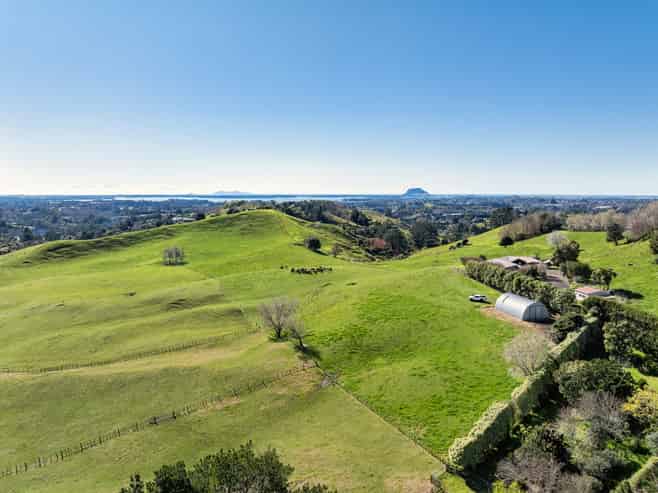 164C Crawford Road, Te Puna