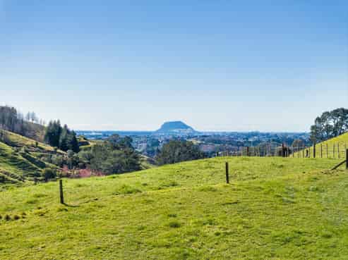 164C Crawford Road, Wairoa