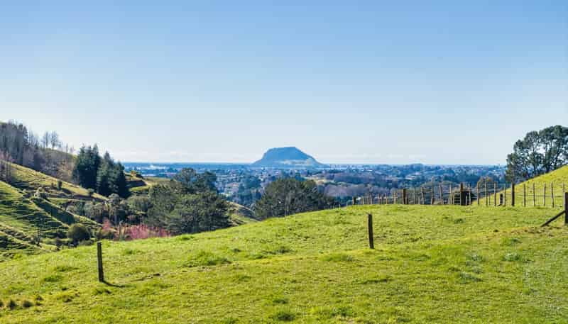 164C Crawford Road, Te Puna