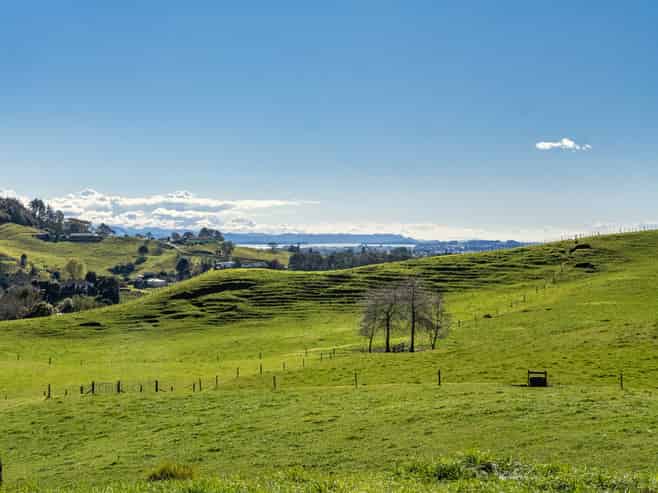 164C Crawford Road, Te Puna