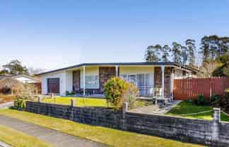 29 Ngahere Street, Inglewood