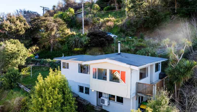 51 Buccleugh Street, North East Valley