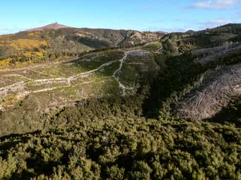 Section 24 Duncan Road, Hampden