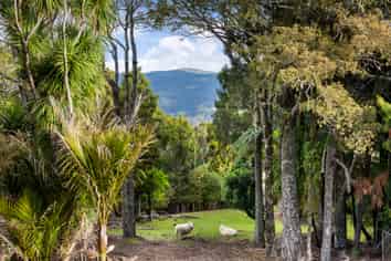 429 Wairere Road, Waitakere