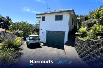 217B Waikiekie Road, Thames