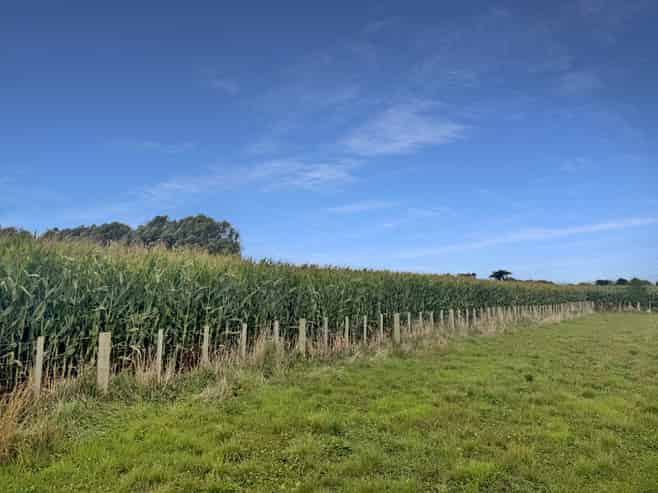 270 Setters Line, Bunnythorpe