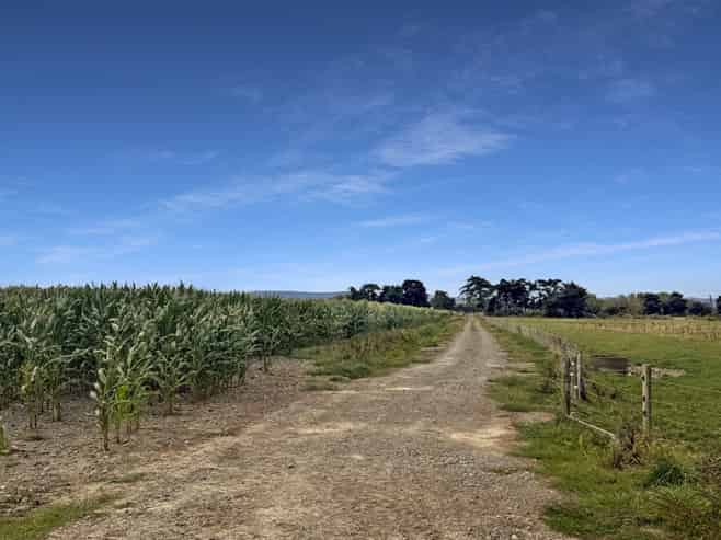 270 Setters Line, Bunnythorpe